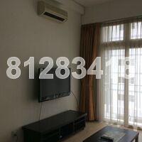 The Aston (D10), Apartment #102316702